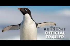 Penguins 2019