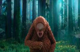 Missing Link 2019